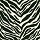 Couristan Carpets: Alligator Zebra